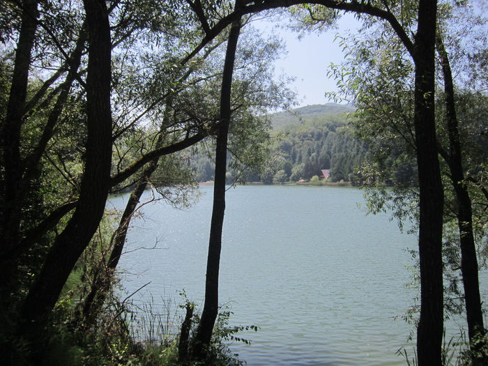 IMG_3056 - PARCUL NATIONAL CHEILE NEREI-BEUSNITA