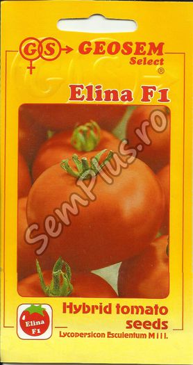 ROSII ELINA F1 - FATA - Seminte de tomate bulgaresti - hibrizi