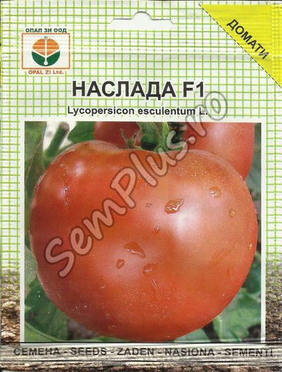 ROSII NASLADA F1 - FATA - Seminte de tomate bulgaresti - hibrizi