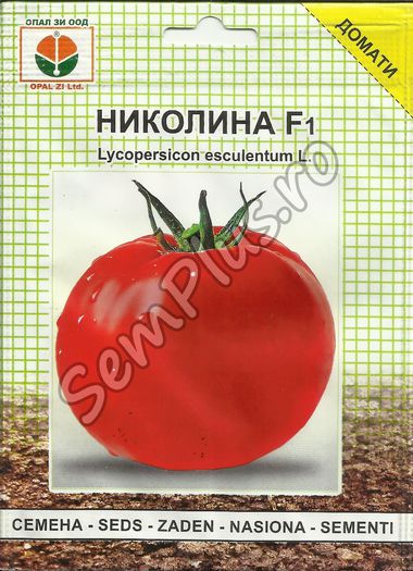 ROSII NICOLINA F1 - FATA - Seminte de tomate bulgaresti - hibrizi