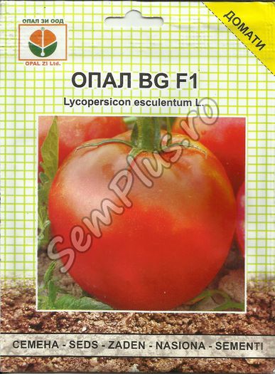 ROSII OPAL BG F1 - FATA - Seminte de tomate bulgaresti - hibrizi