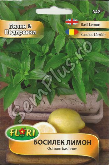 BUSUIOC LAMAIE - FATA - Seminte de plante aromatice