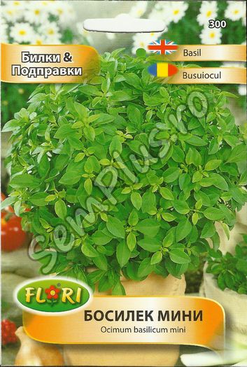 BUSUIOCUL2 - FATA - Seminte de plante aromatice