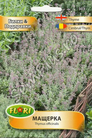 CIMBRUL-THYM - FATA - Seminte de plante aromatice