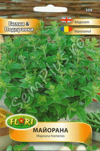 MAGHERAN - FATA - Seminte de plante aromatice