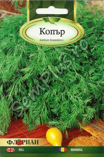 MARARUL1 - FATA - Seminte de plante aromatice