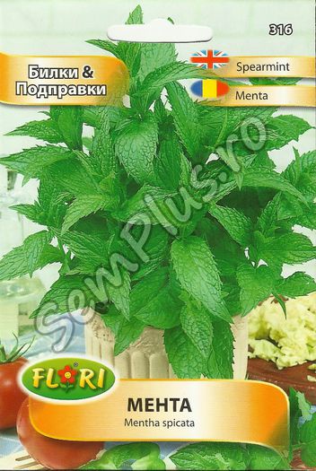 MENTA - FATA - Seminte de plante aromatice