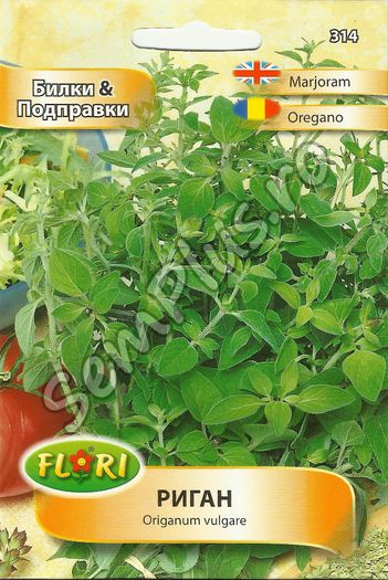 OREGANO - FATA - Seminte de plante aromatice