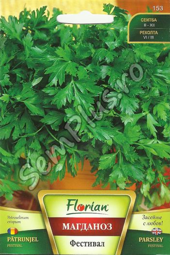 PATRUNJEL FESTIVAL - FATA