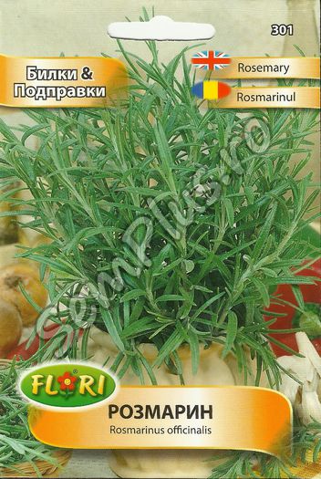ROSMARINUL - FATA - Seminte de plante aromatice