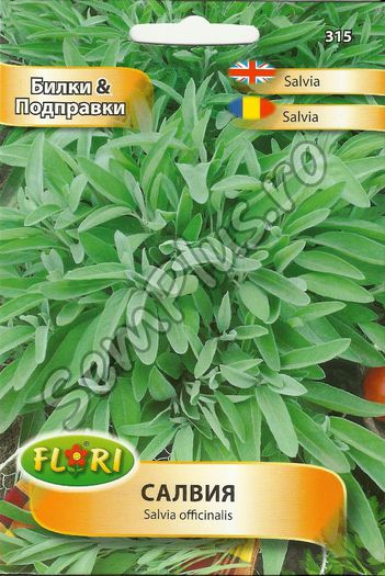 SALVIA - FATA - Seminte de plante aromatice