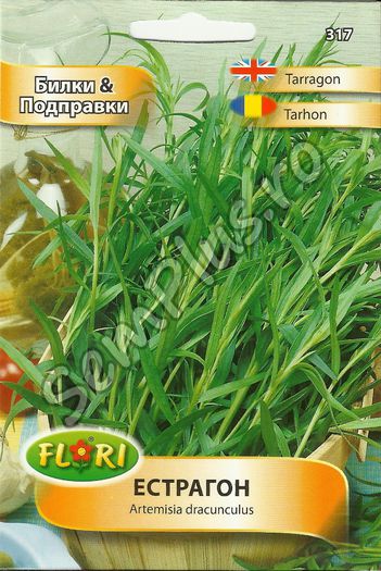 TARHON - FATA - Seminte de plante aromatice