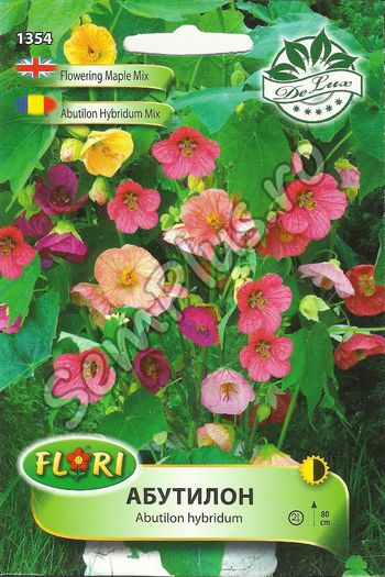Seminte de abutilon hybridum mix - 5 lei; Plante scunde cu frunze late cu flori de culori diferite:alb,galben,roz,rosu.Continut plic: 130 seminte
