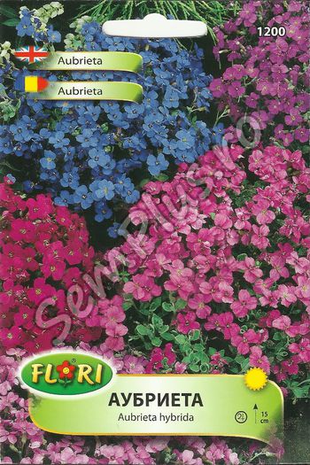 Seminte de flori aubrieta - 3 lei - Seminte de flori