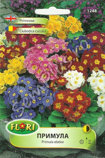 Seminte de flori ciubotica cucului - 3 lei; Planta vivace infloritoare. Creste la umbra usoara, in soluri cu drenare buna.Cantitate de seminte per plic:100 buc.
