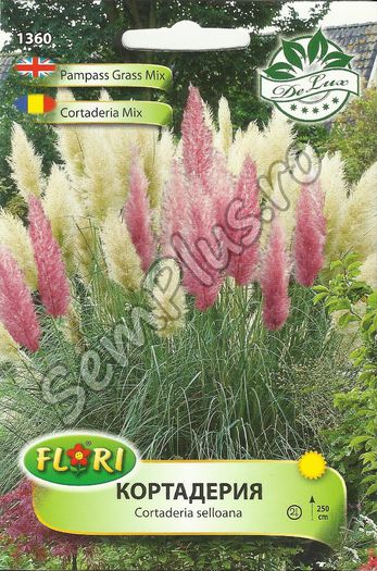 CORTADERIA MIX - FATA