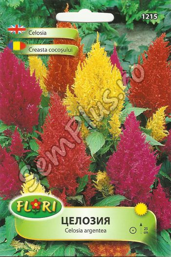CREASTA COCOSULUI - FATA - Seminte de flori