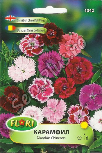 DIANTHUS CHINA DOLL MIXED - FATA