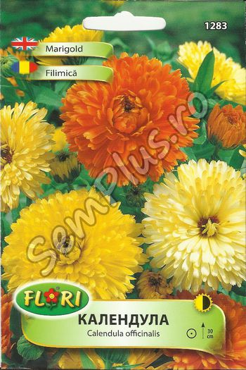 FILIMICA - FATA - Seminte de flori