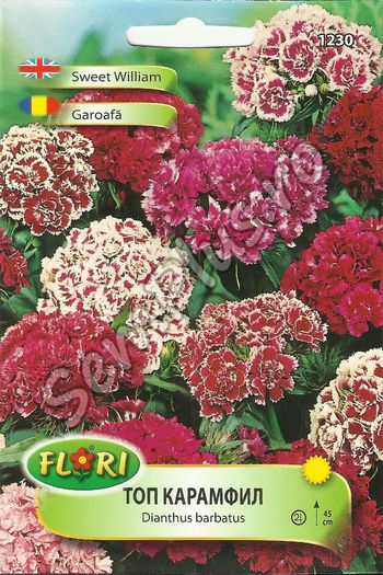 GAROAFA - FATA - Seminte de flori
