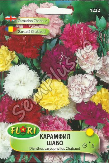 GAROAFA CHABAUD - FATA - Seminte de flori