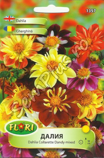 GHERGHINA1 - FATA - Seminte de flori
