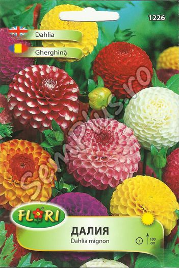 GHERGHINA2 - FATA - Seminte de flori