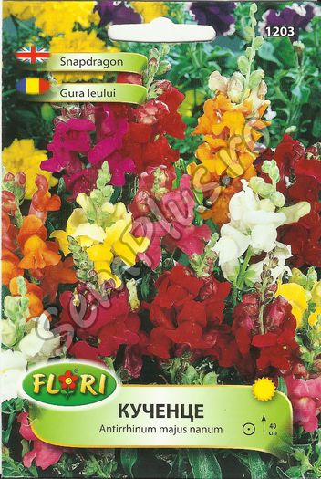GURA LEULUI - FATA - Seminte de flori