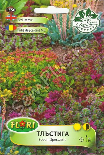 IARBA DE SOALDINA MIX - FATA - Seminte de flori