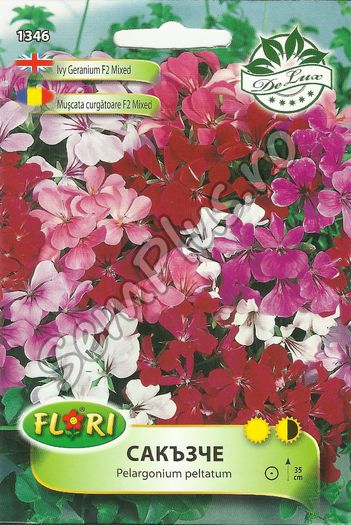 MUSCATA CURGATOARE F2 MIXED - FATA - Seminte de flori