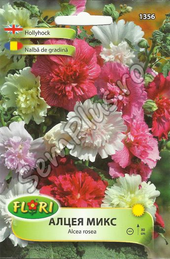 NALBA DE GRADINA - FATA - Seminte de flori