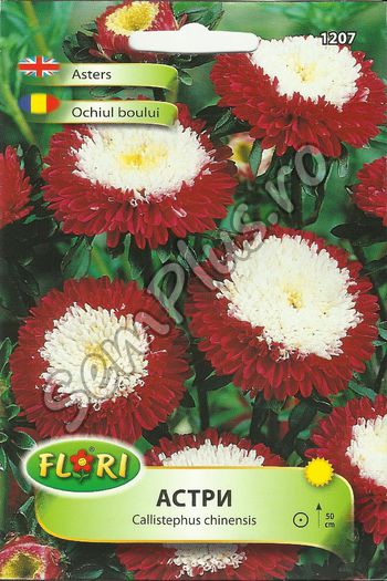 OCHIUL BOULUI - FATA - Seminte de flori