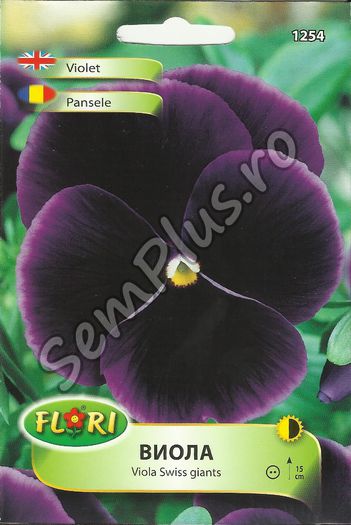 PANSELE1 - FATA - Seminte de flori