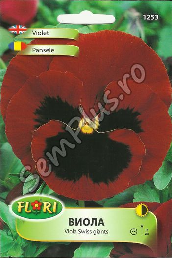 PANSELE2 - FATA - Seminte de flori