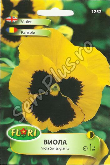 PANSELE4 - FATA - Seminte de flori