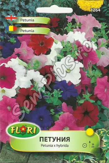 PETUNIA - FATA - Seminte de flori