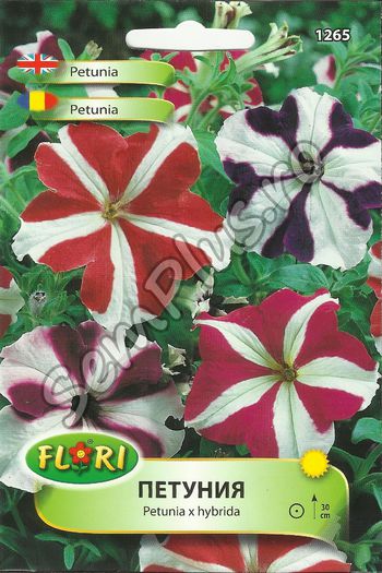 PETUNIA1 - FATA - Seminte de flori