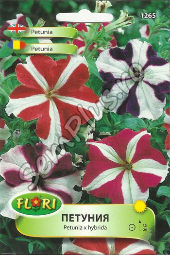 PETUNIA1 - FATA