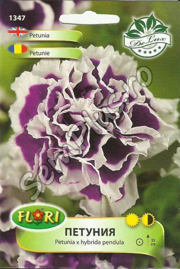 PETUNIE1 - FATA