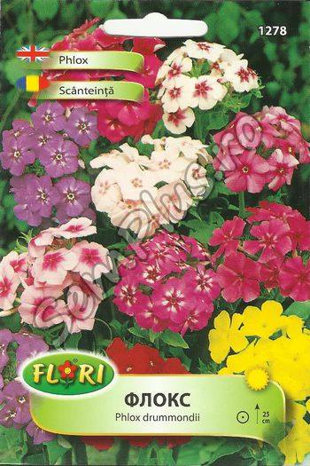 SCANTEINTA - FATA - Seminte de flori