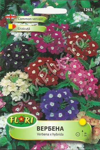URZICUTA - FATA - Seminte de flori