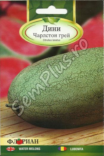 LUBENITA - FATA - Seminte de fructe
