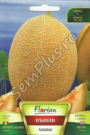 PEPENE GALBEN ANANAS - FATA - Seminte de fructe