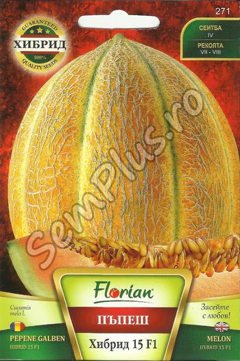 PEPENE GALBEN HIBRID 15 F1 - FATA