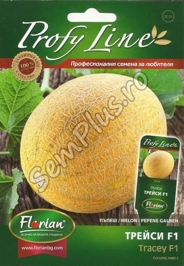 PEPENE GALBEN TRACEY F1 - FATA