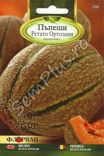 PEPENELE RETATO ORTOLANI - FATA