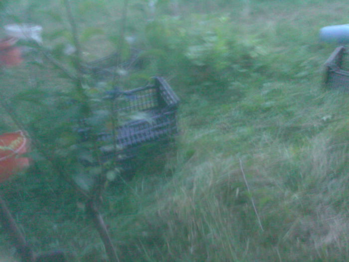 SP_A0467 - Productie 2014