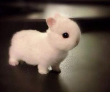 Politistii se apropie mai mult si raman socati. Politistii se apropie mai mult si raman socati.