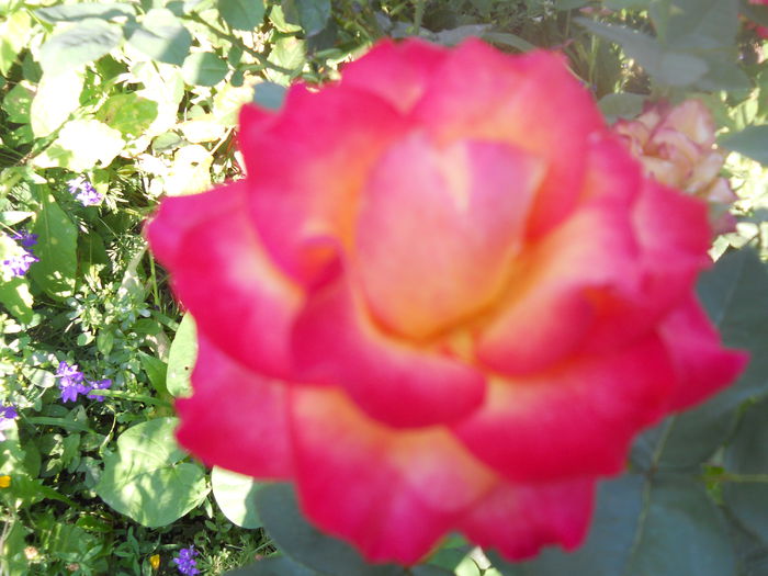DSCN6840