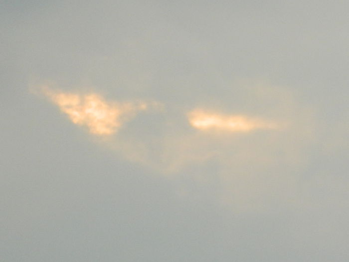 DSCN9120
